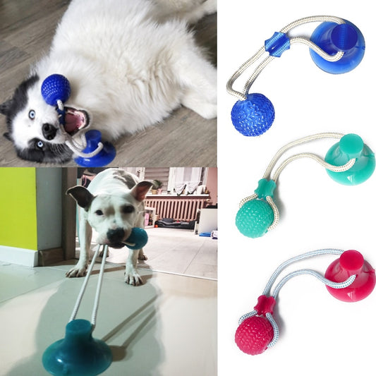 PRODUIT JOUETS A MACHER SPECIALE MOLAIRES POUR CHIEN