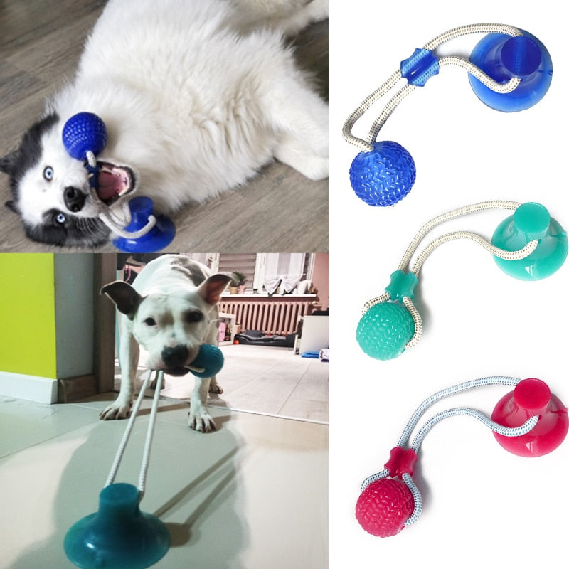 PRODUIT JOUETS A MACHER SPECIALE MOLAIRES POUR CHIEN