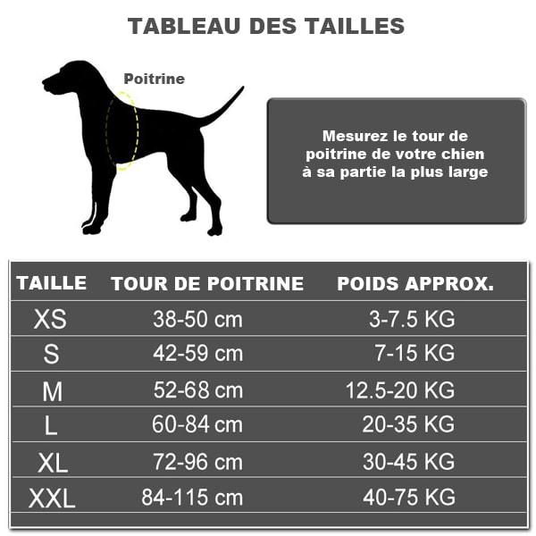 HARNAIS PERSONNALISE POUR VOTRE CHIEN