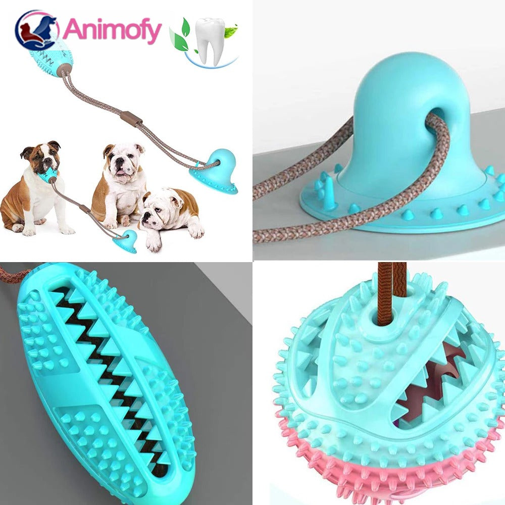 PRODUIT JOUETS A MACHER SPECIALE MOLAIRES POUR CHIEN