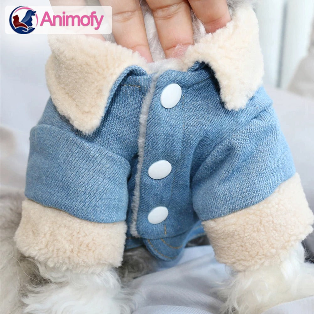 VESTE EN JEAN POUR CHIOTS